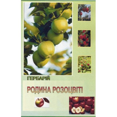 Гербарій. Систематика рослин. Родина Розоцвіті"