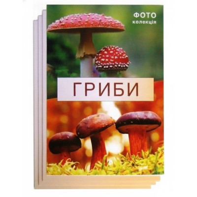 Фотогербарій «Гриби»
