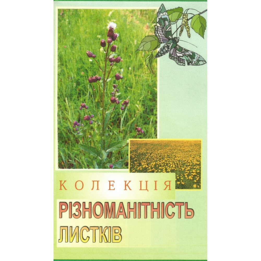 Гербарій. Колекція Різноманітність листків