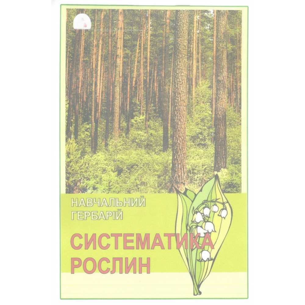 Гербарій. Систематика рослин. Родина Бобові. Родина злакові