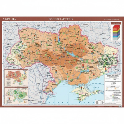 Україна. Господарство. Навчальна карта (на картоні на планках)